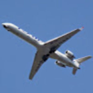 Meet your Posher, Henry